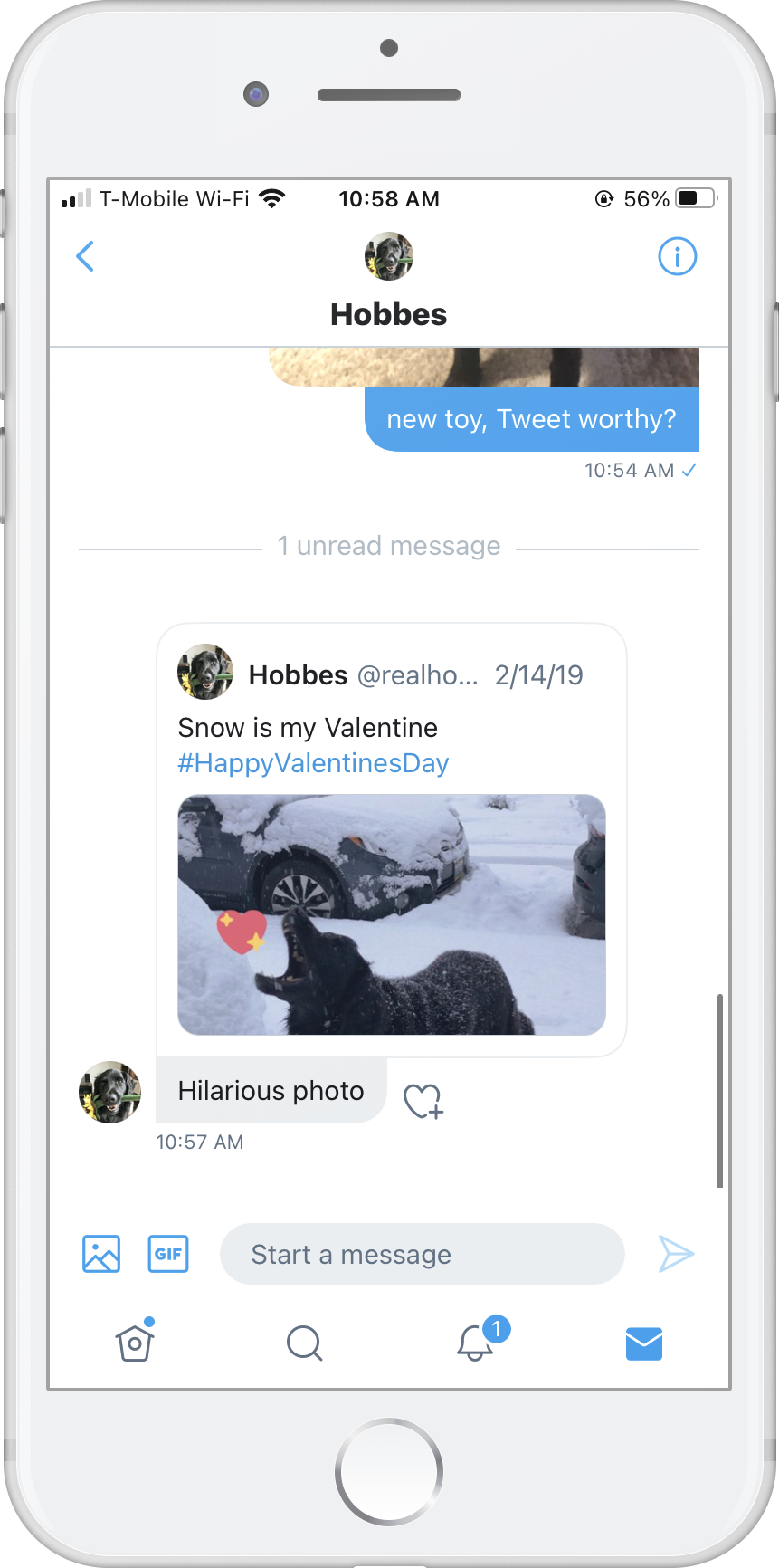 DM Tweet