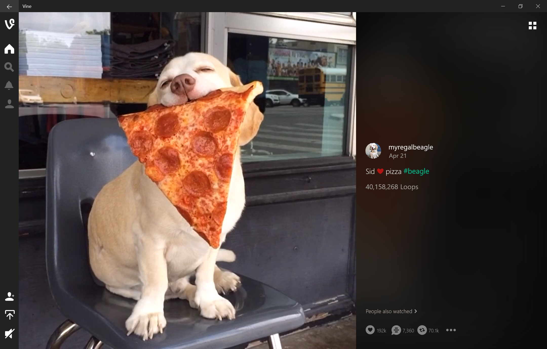 Vine Viewer